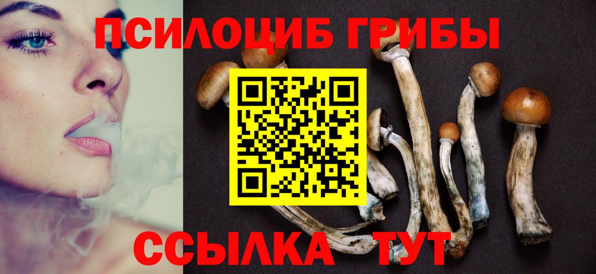 Псилоцибиновые грибы ЛСД Гатчина