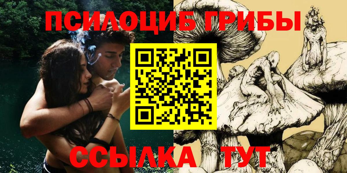 Гатчина  Галлюциногенные грибы Magic Shrooms  Вход с VPN 