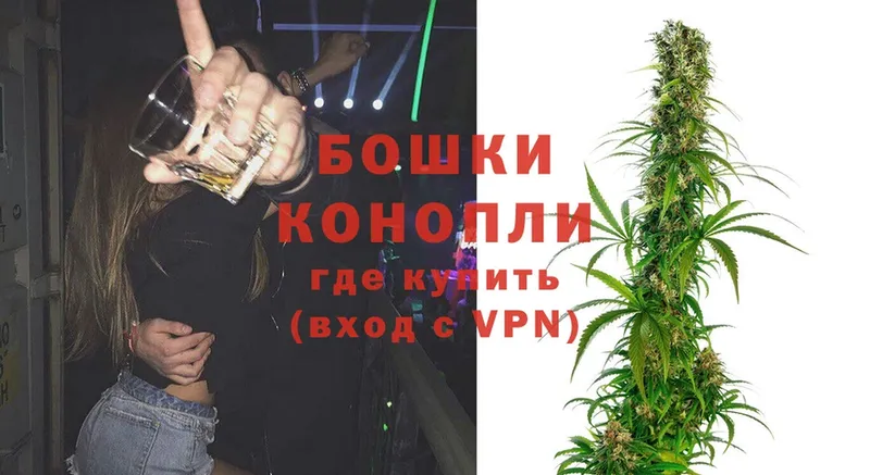 купить наркоту  Гатчина  Конопля LSD WEED 