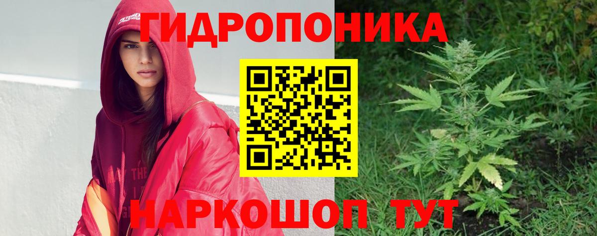 Шишки марихуана марихуана  Вход с VPN  Гатчина  Бошки Шишки VHQ 